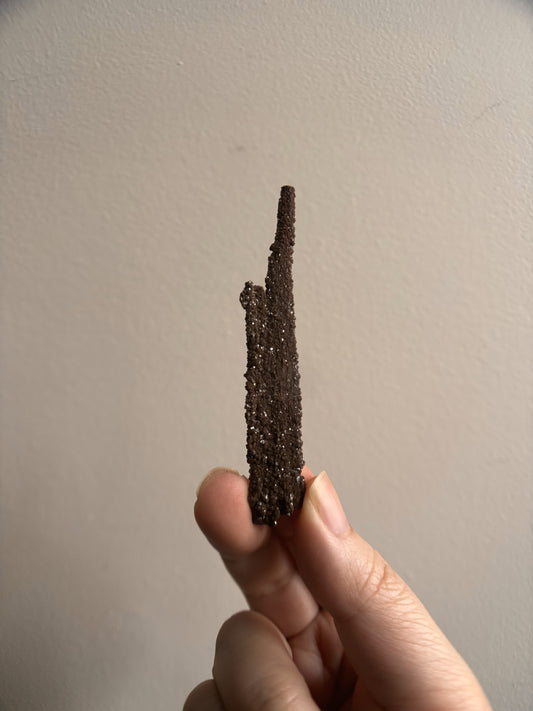Permineralized Fossil Wood with Quartz 5.6g