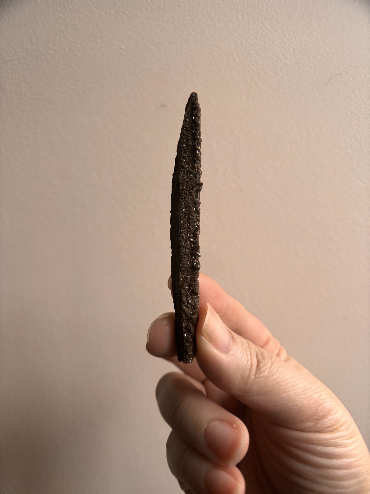 Permineralized Fossil Wood with Quartz 7.4g