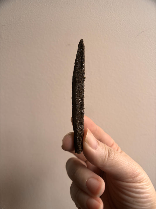 Permineralized Fossil Wood with Quartz 7.4g