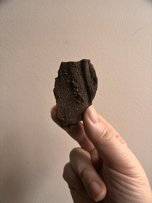 Permineralized Fossil Wood with Quartz 8.4g