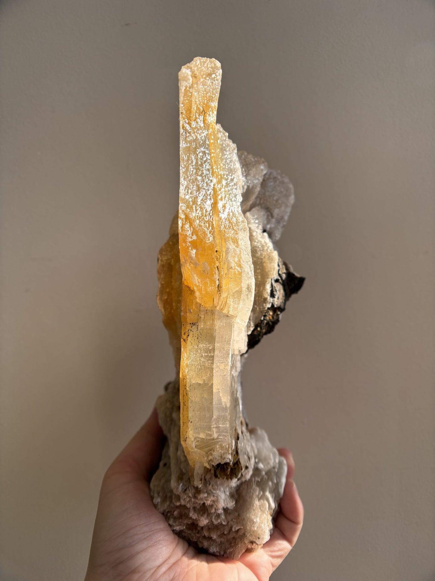 Ancient Poseidon Temple Selenite 1.25kg (2.7lbs)