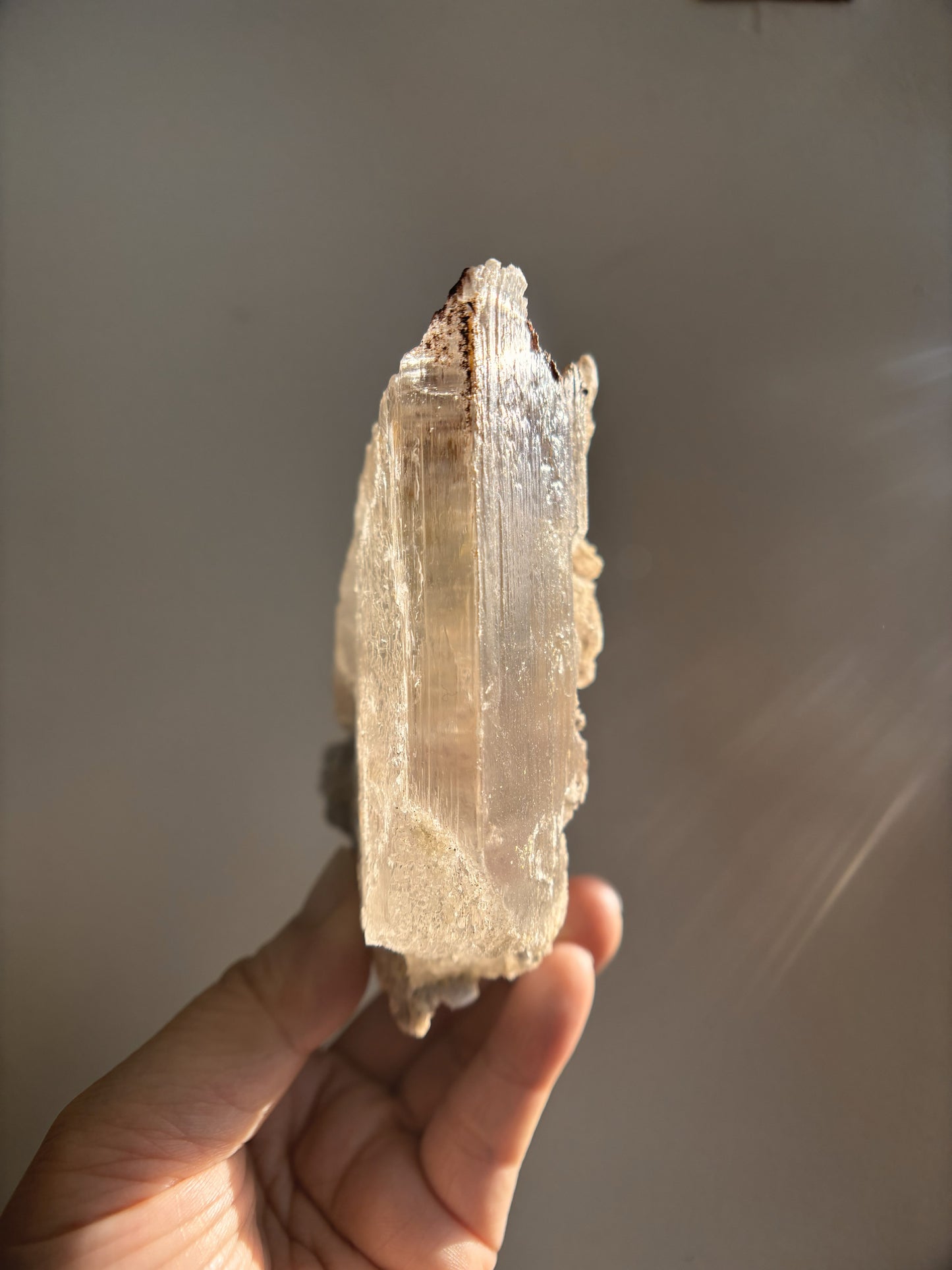 Ancient Poseidon Temple Selenite 288g
