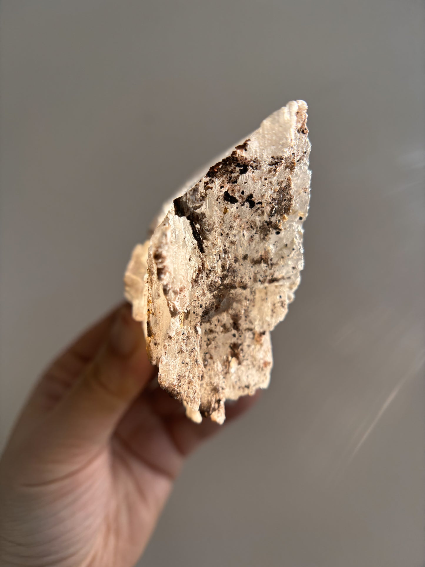 Ancient Poseidon Temple Selenite 288g