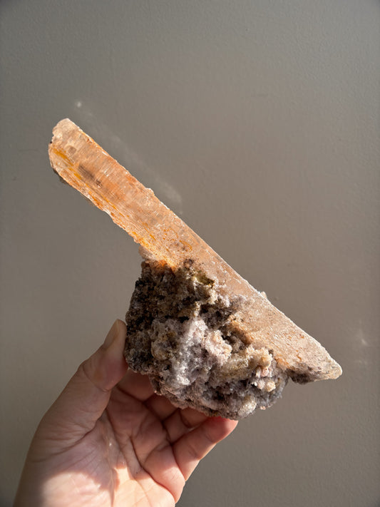 Ancient Poseidon Temple Selenite 332.4g