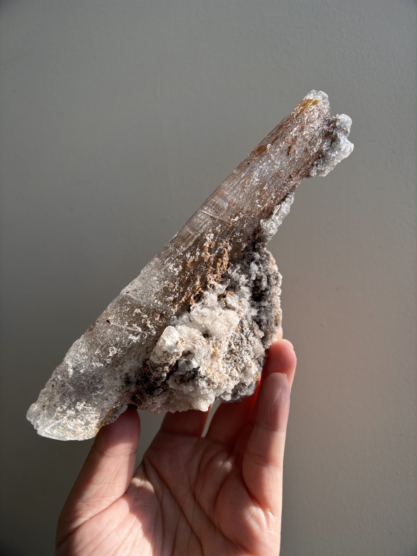 Ancient Poseidon Temple Selenite 332.4g