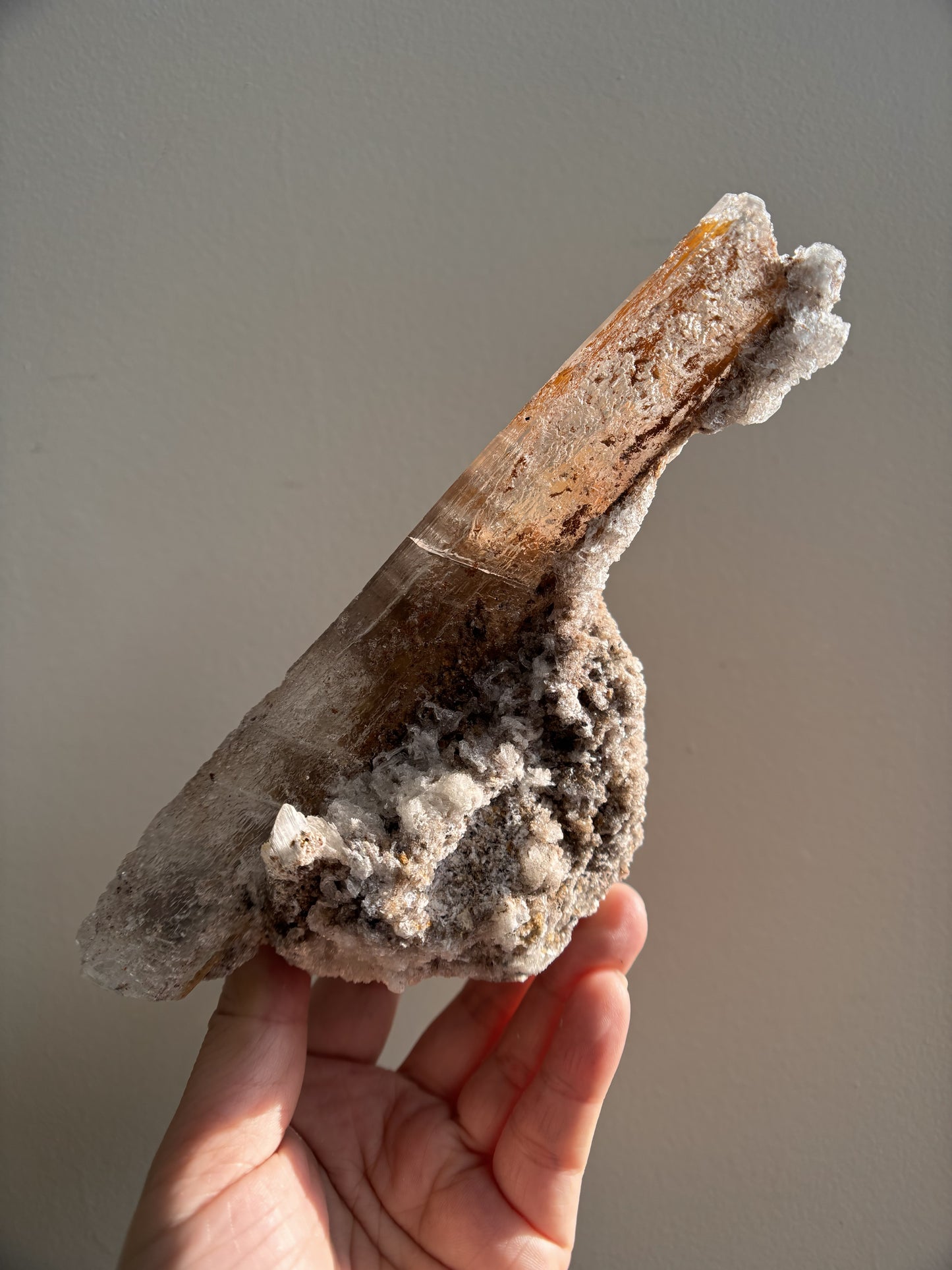 Ancient Poseidon Temple Selenite 332.4g