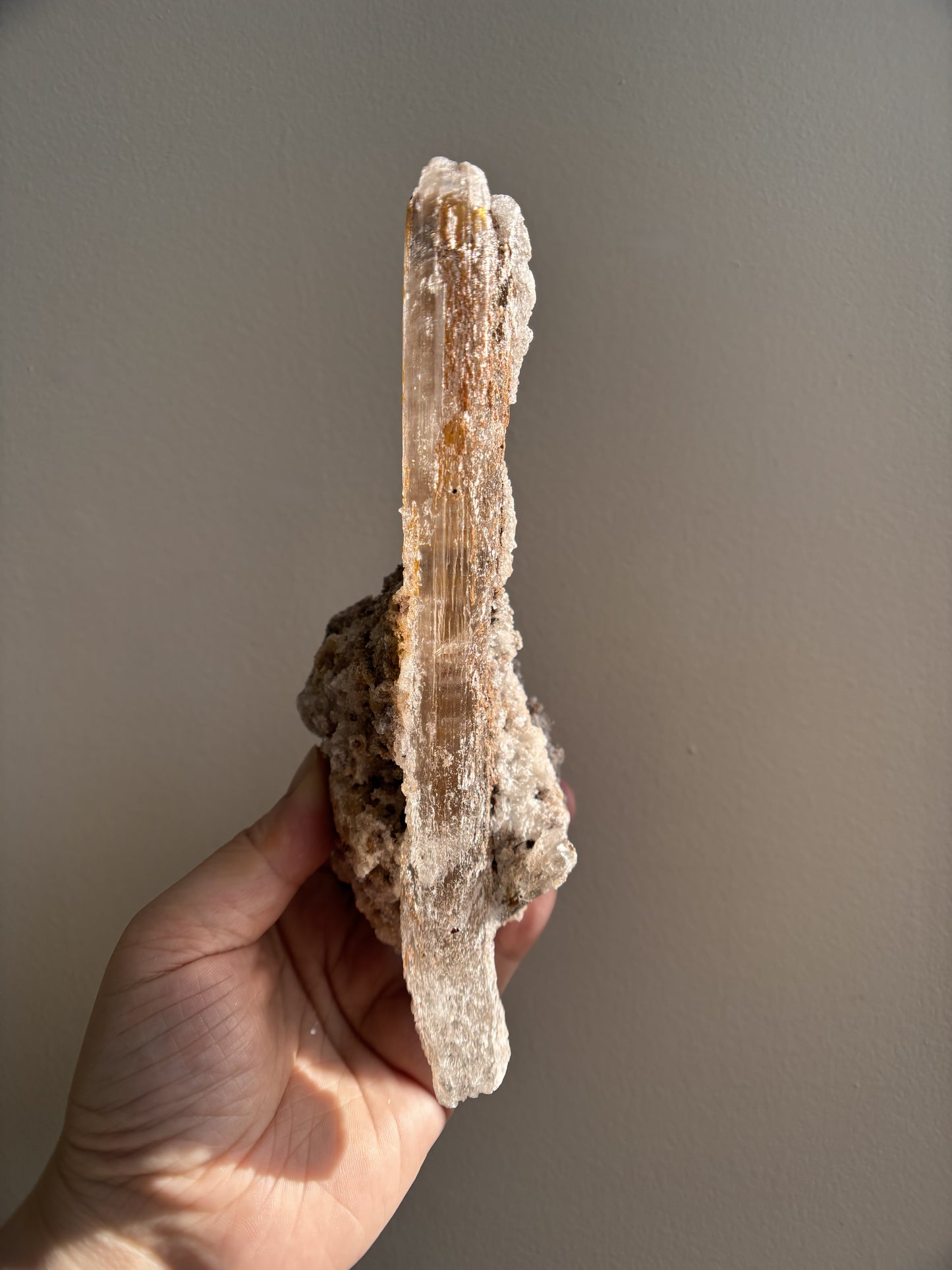 Ancient Poseidon Temple Selenite 332.4g