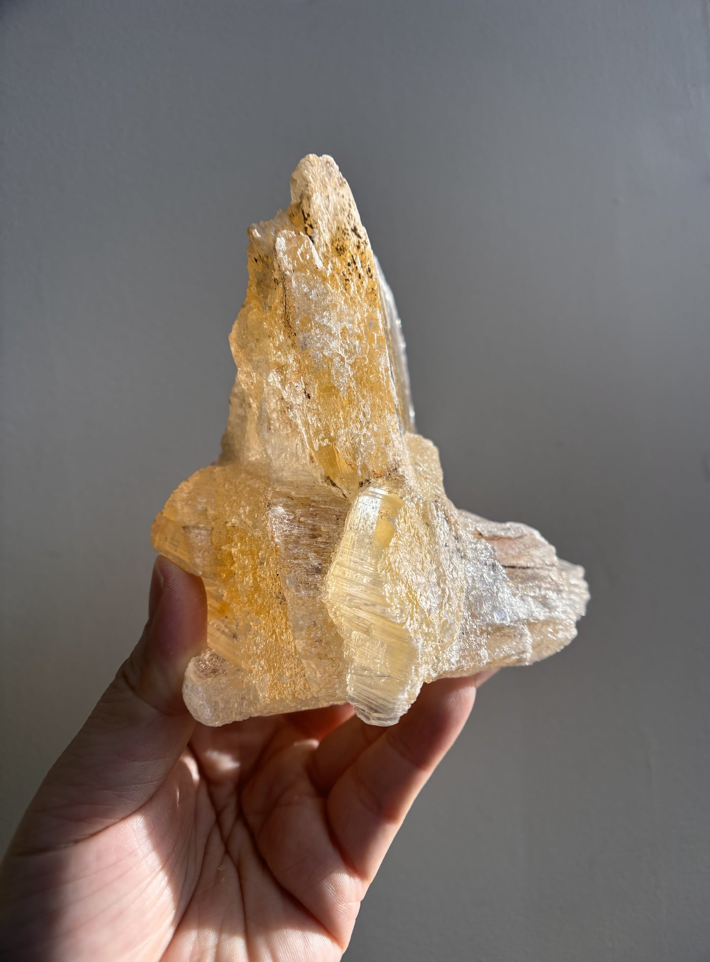 Ancient Poseidon Temple Selenite (with Limonite) 625g