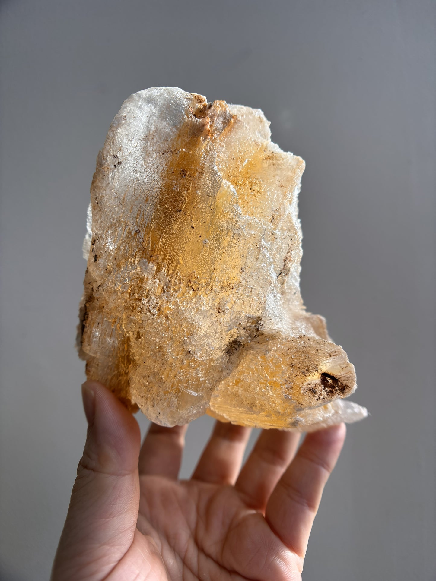 Ancient Poseidon Temple Selenite (with Limonite) 625g