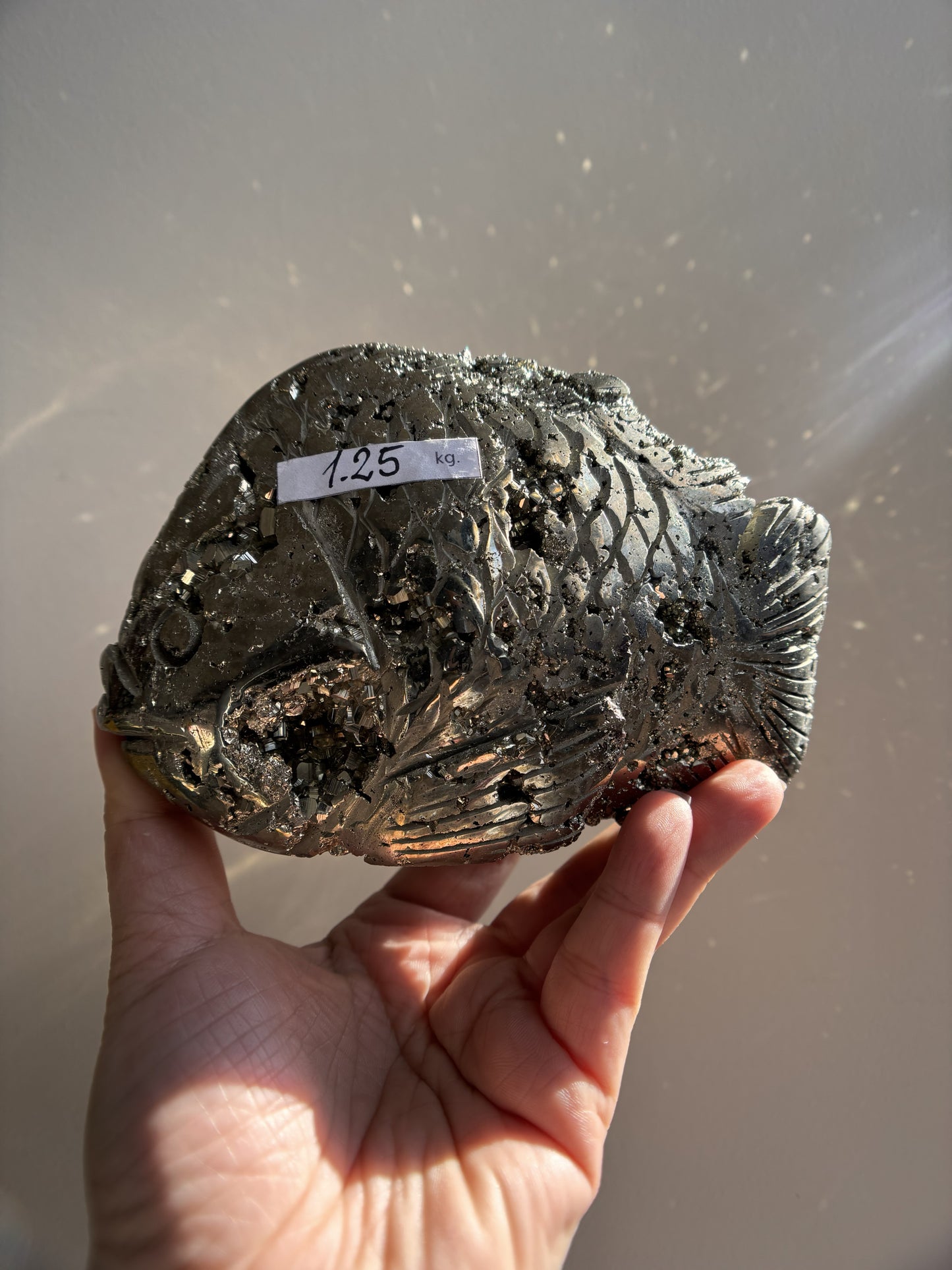 Peruvian Pyrite Fish 1.25kg