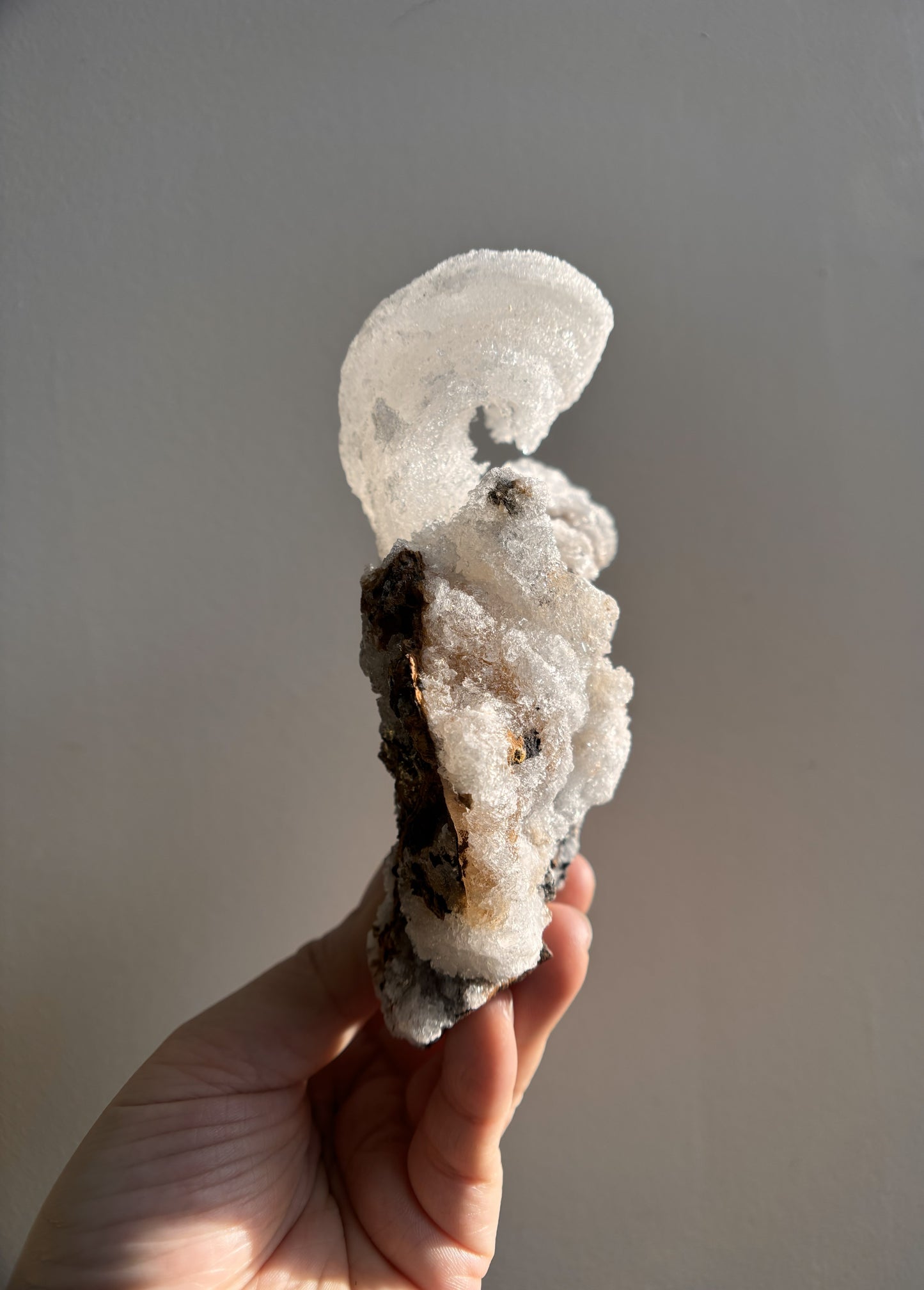 Moroccan Druzy Rams Horn Selenite on Matrix 310g