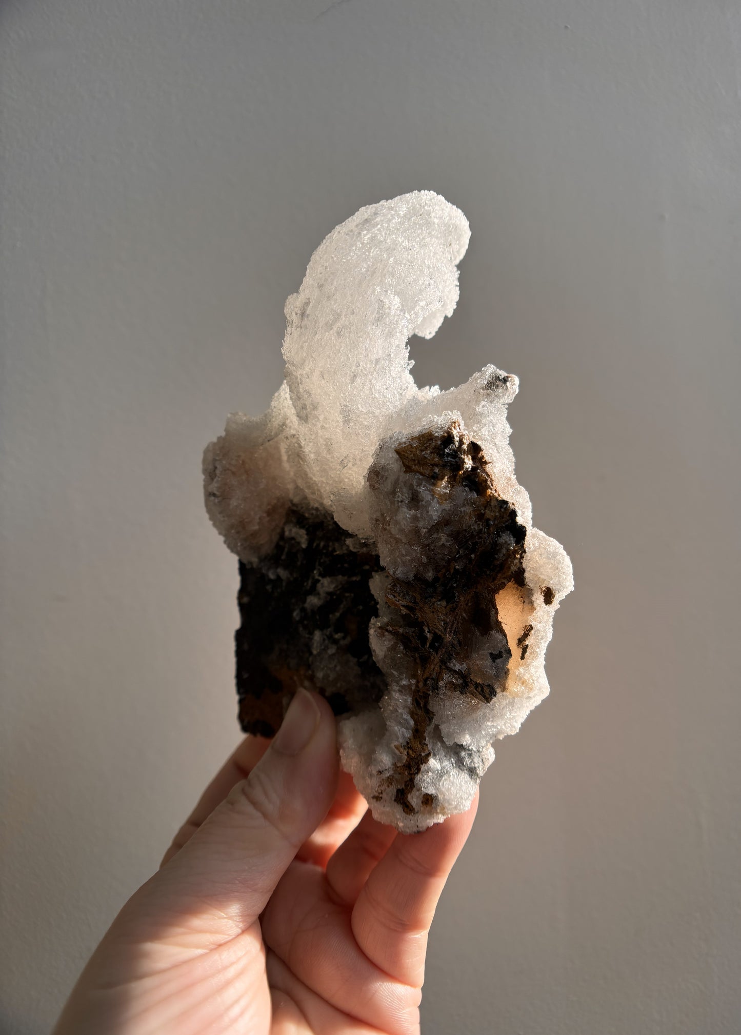 Moroccan Druzy Rams Horn Selenite on Matrix 310g