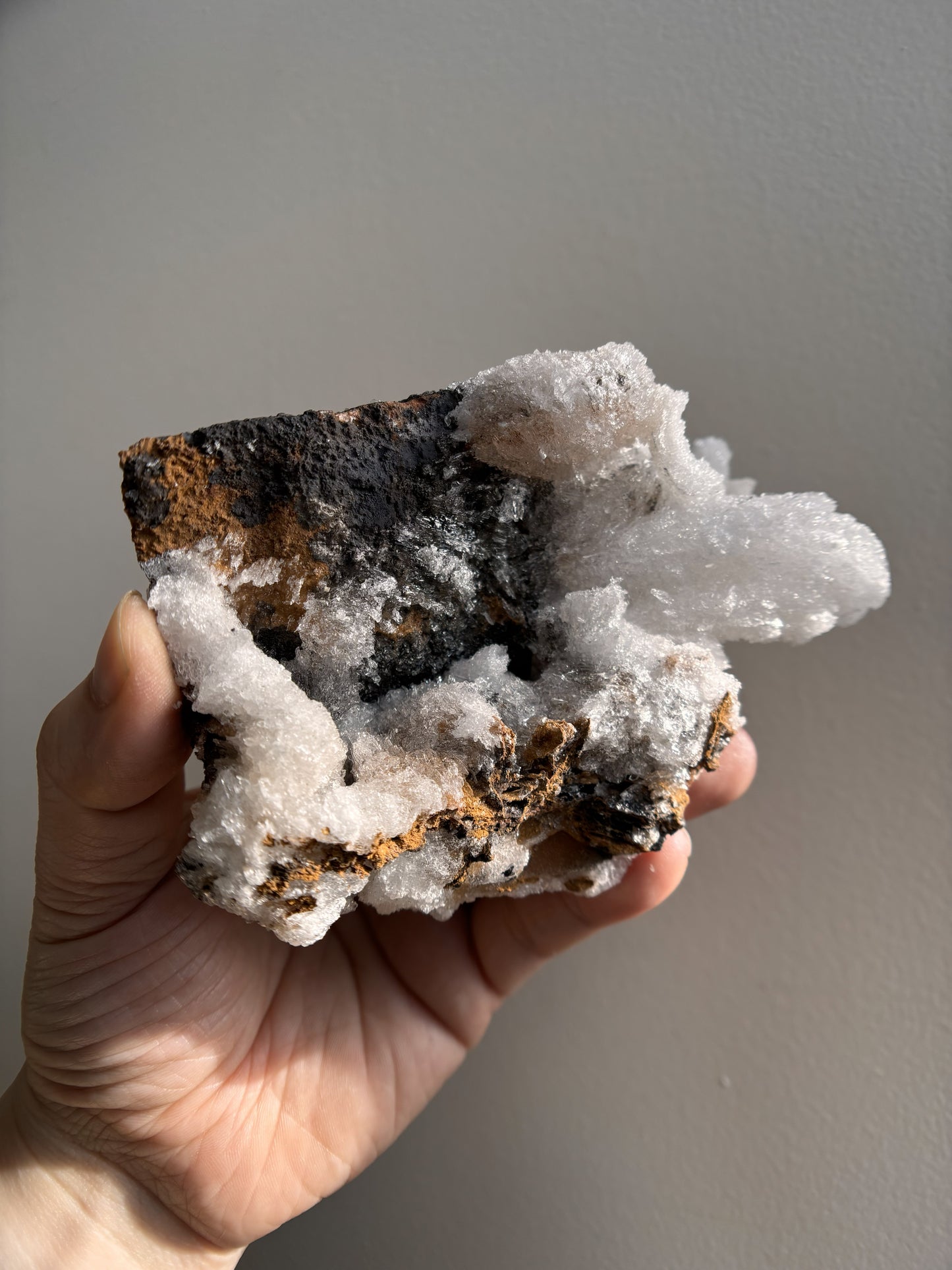 Moroccan Druzy Rams Horn Selenite on Matrix 310g