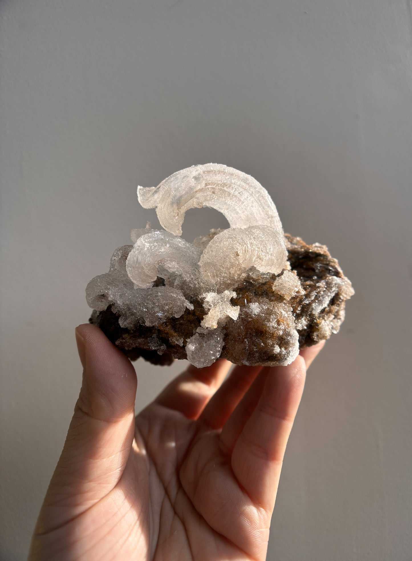Moroccan Druzy Rams Horn Selenite on Matrix 340g