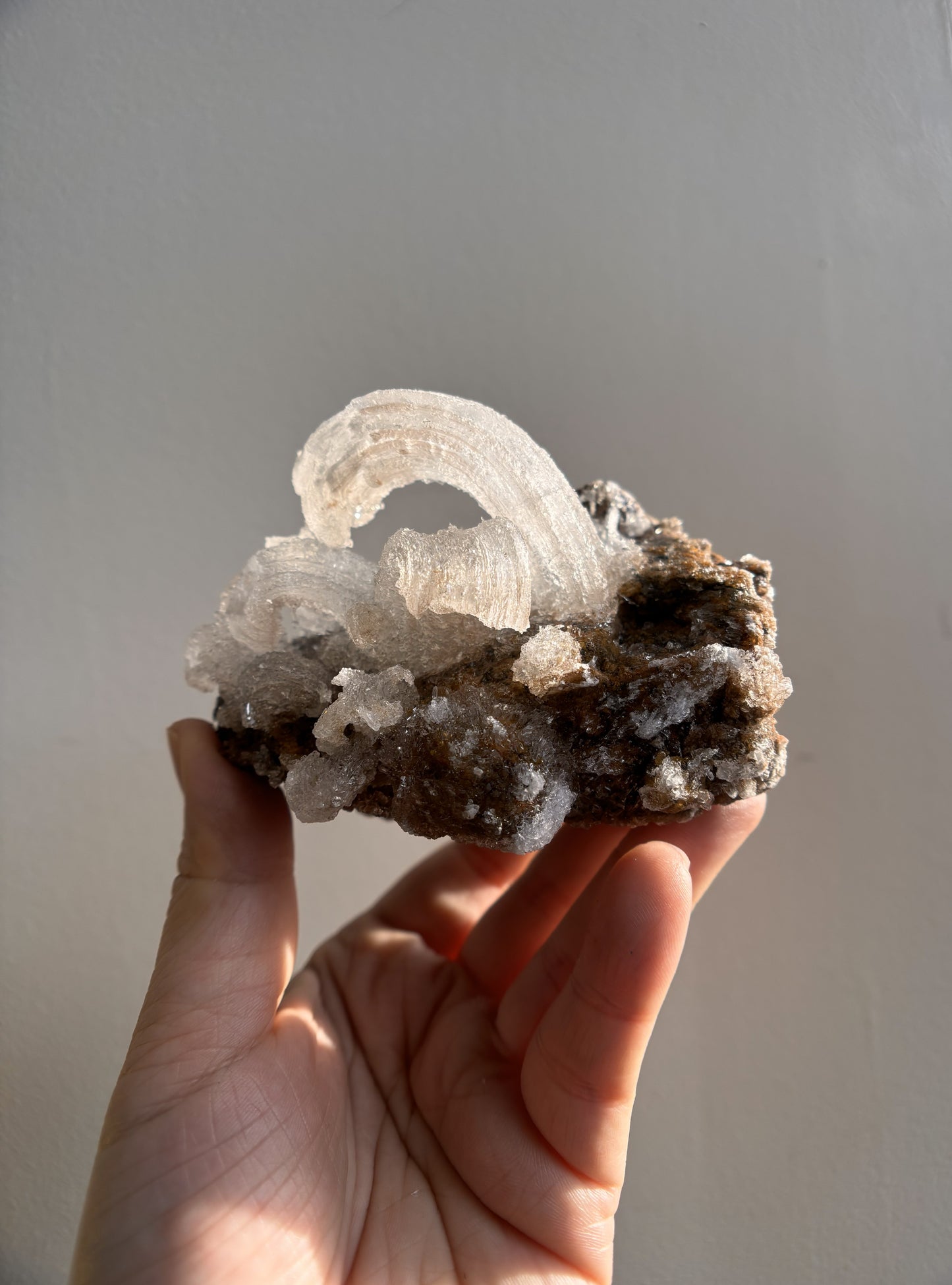 Moroccan Druzy Rams Horn Selenite on Matrix 340g