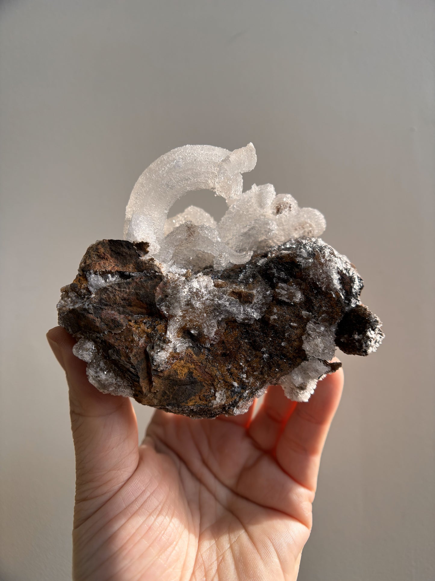 Moroccan Druzy Rams Horn Selenite on Matrix 340g