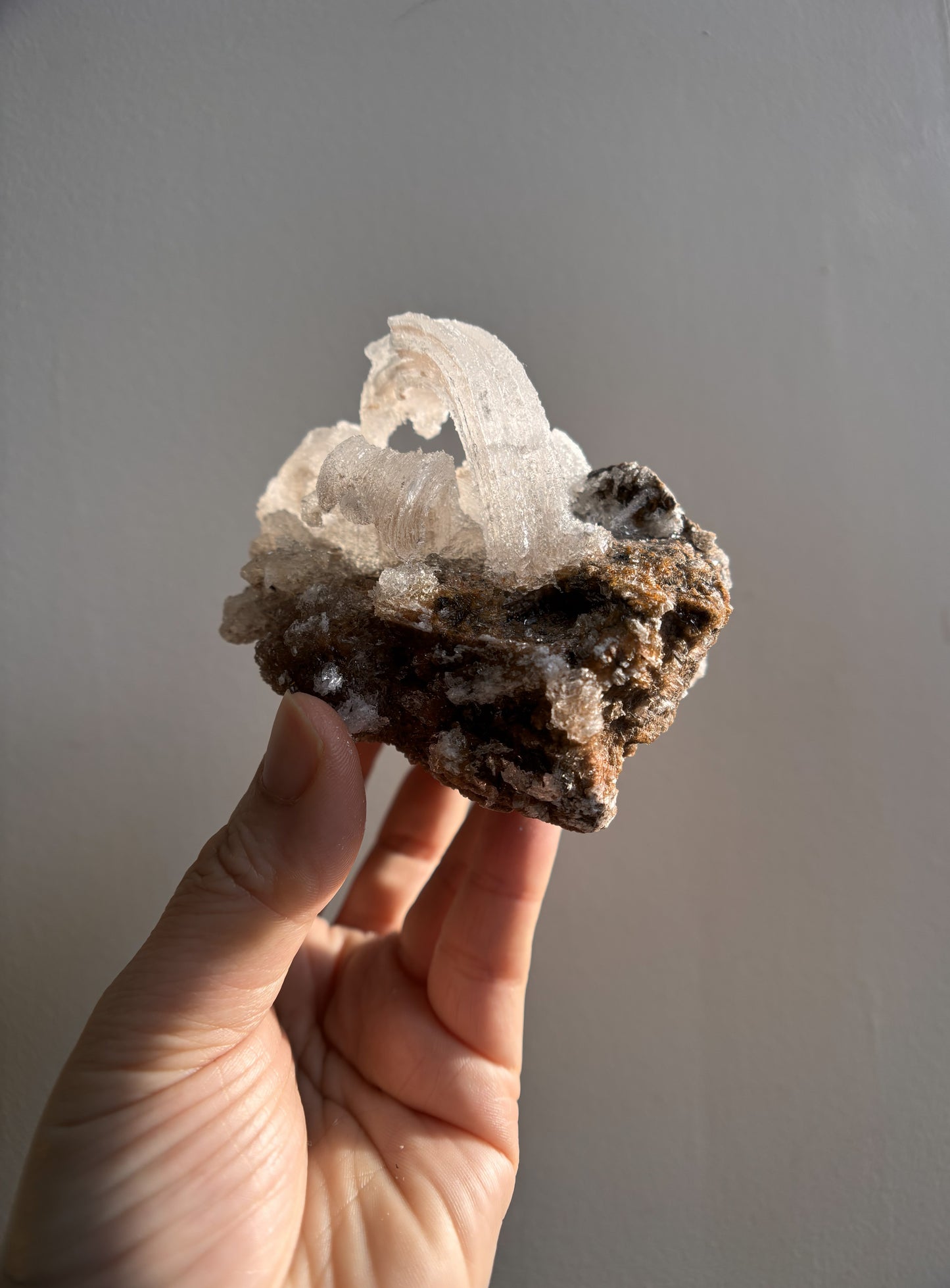 Moroccan Druzy Rams Horn Selenite on Matrix 340g