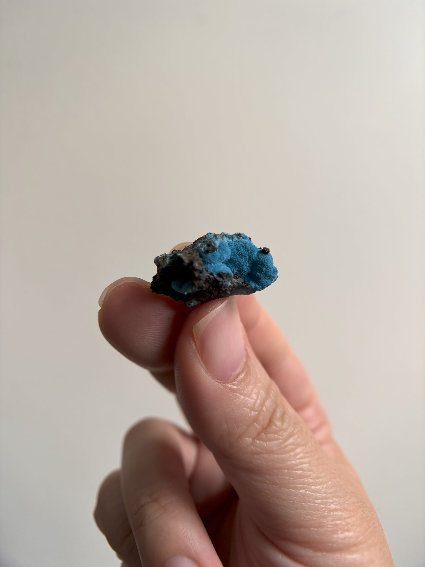 Velvet Botryoidal Shattuckite and Manganese 5g