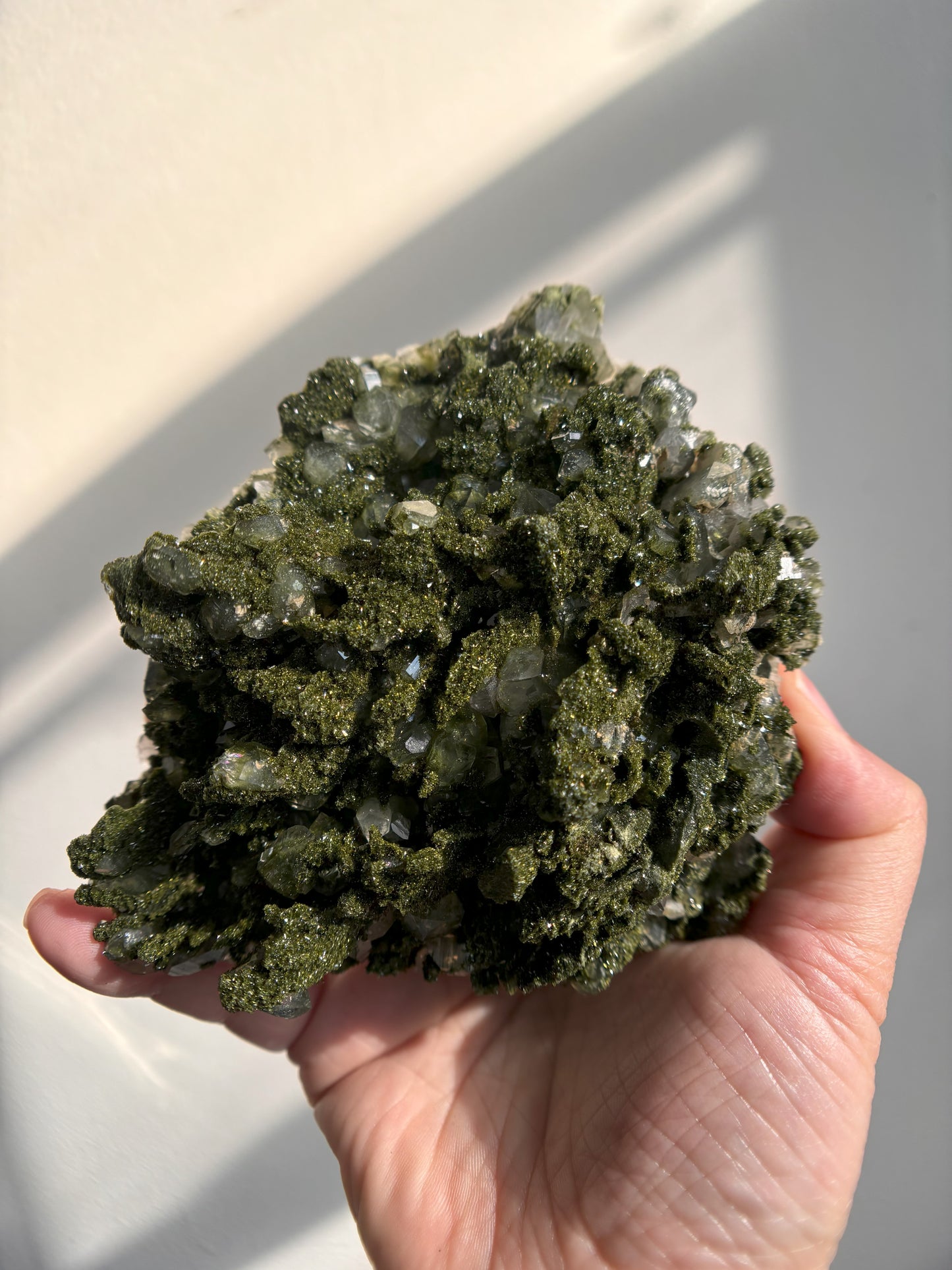 Forest Sparkly Epidote with Quartz 473g