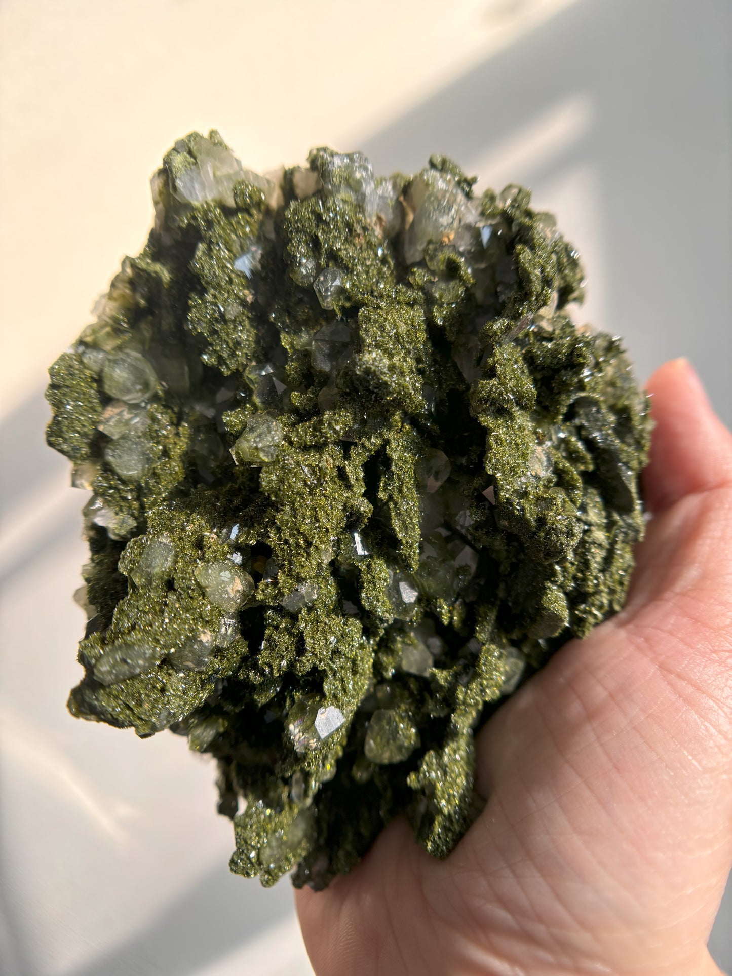 Forest Sparkly Epidote with Quartz 473g