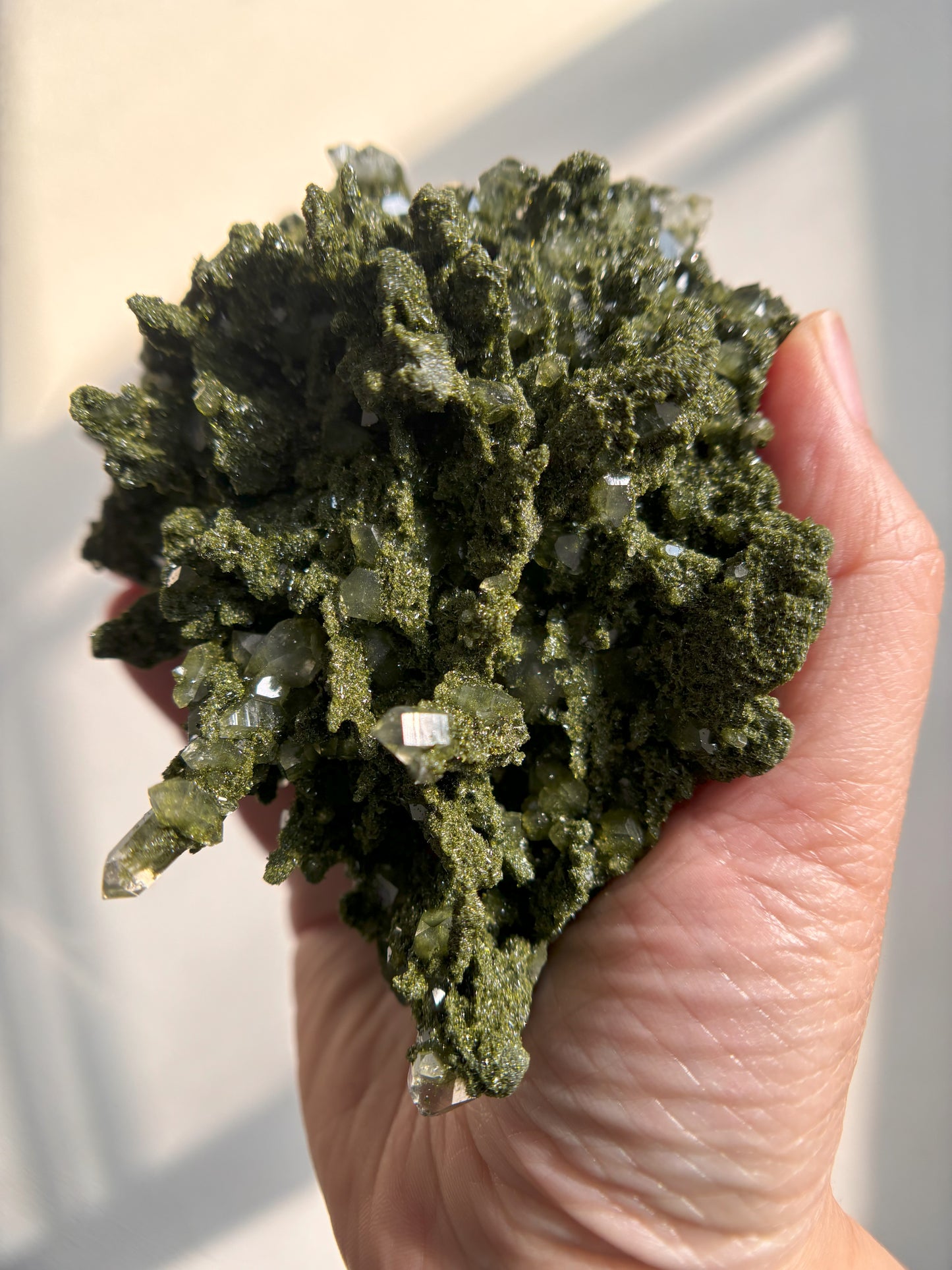 Forest Sparkly Epidote with Quartz 580g