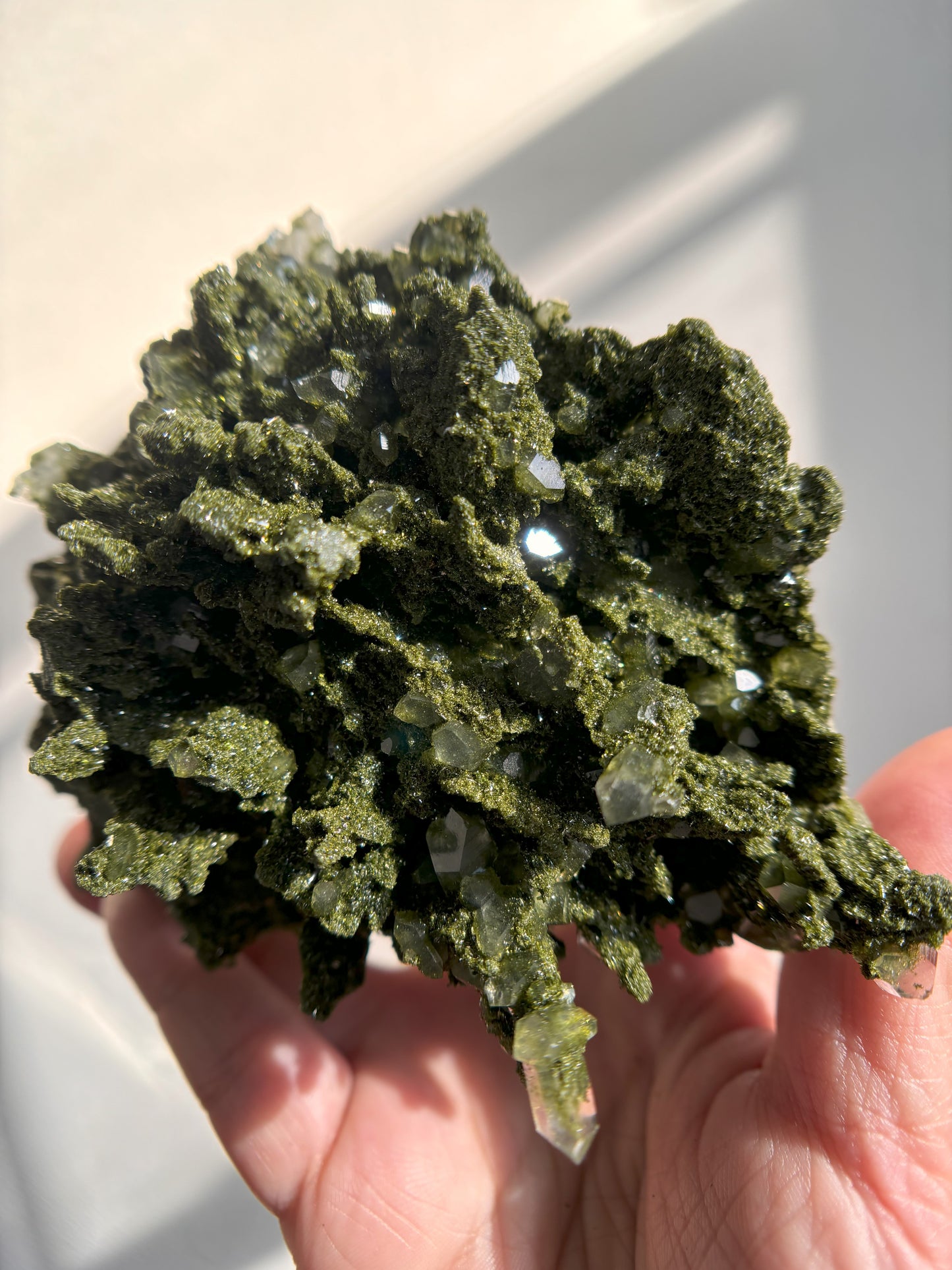 Forest Sparkly Epidote with Quartz 580g