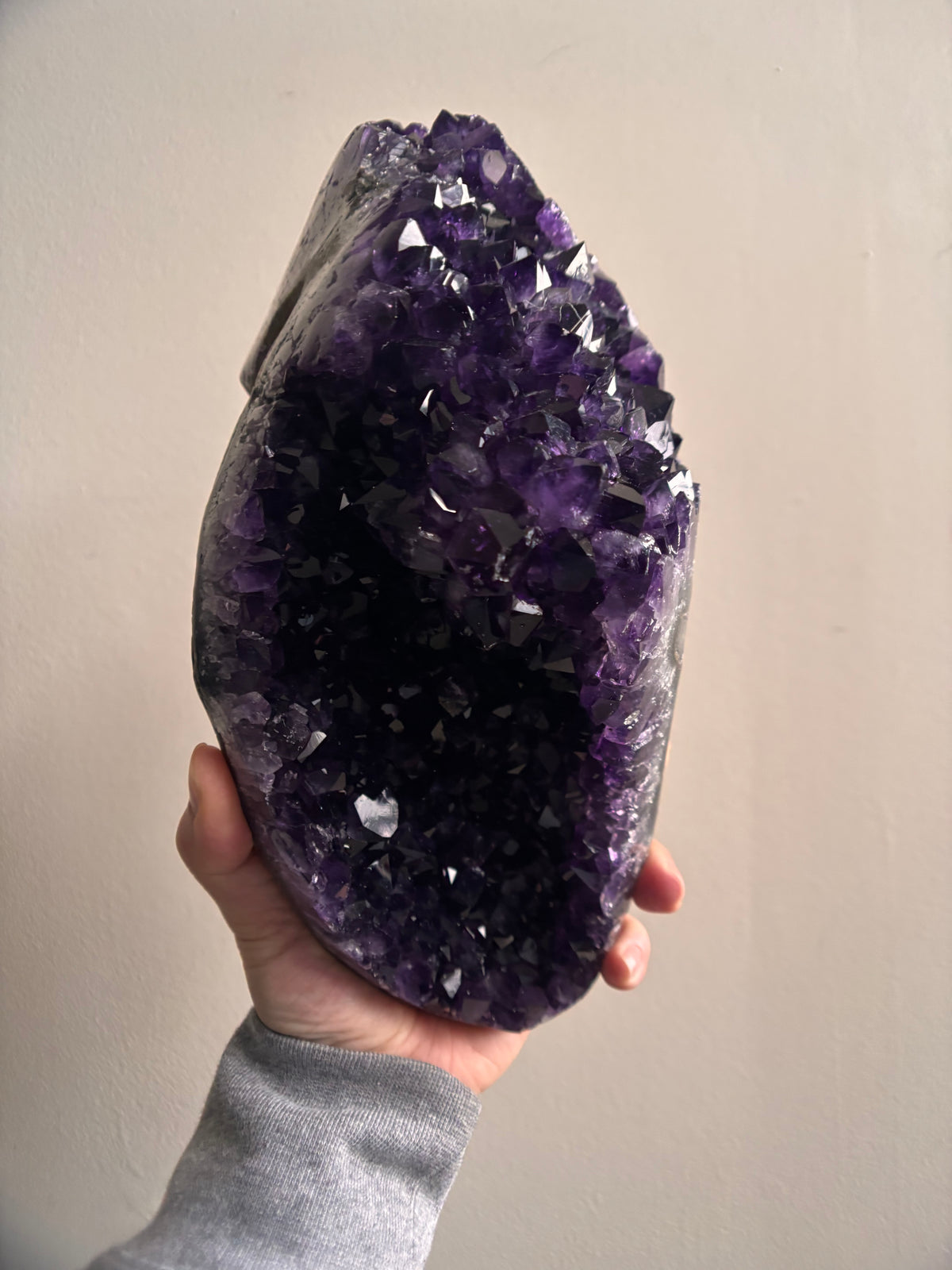 Wounded Uruguayan Amethyst Seashell on Stand