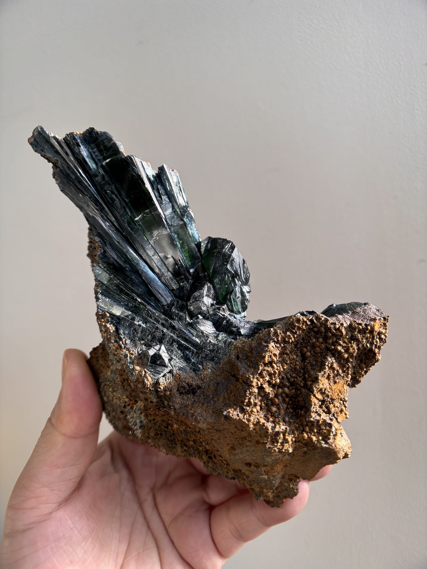 Vivianite 552.8g (1.2lbs)